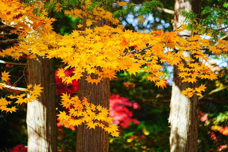 1024_函館見晴公園_北海道