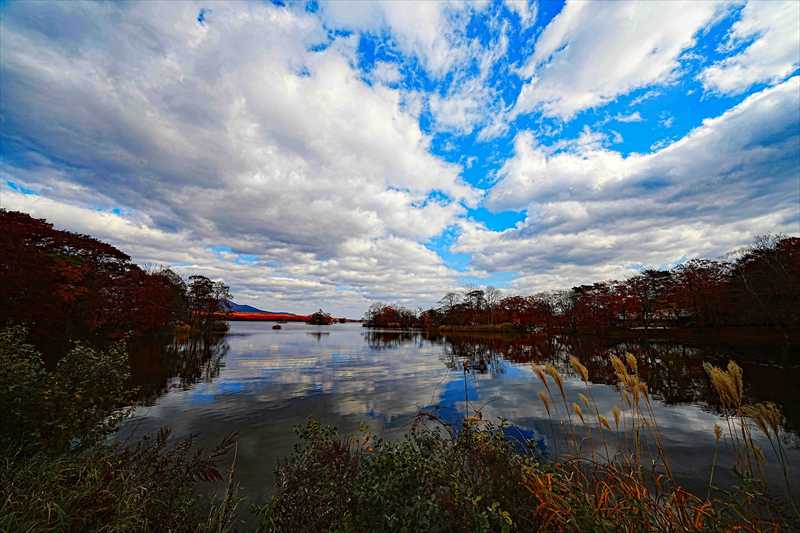 1068_大沼公園_北海道
