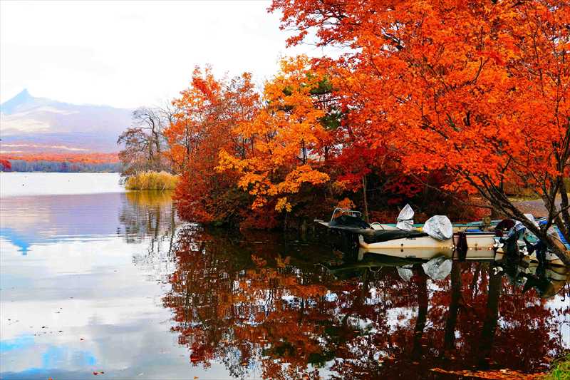 1069_大沼公園_北海道