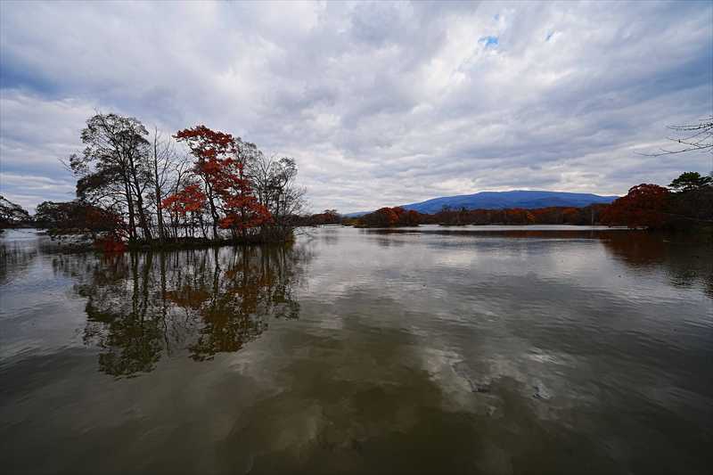 1076_大沼公園_北海道