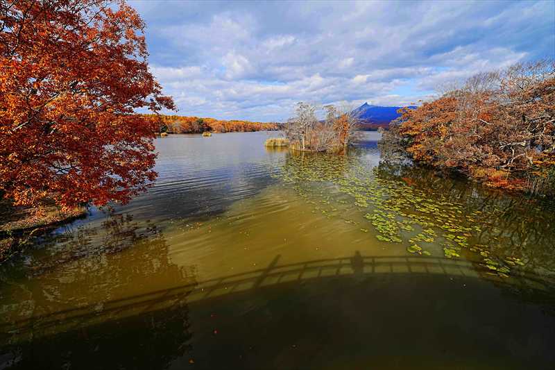 1084_大沼公園_北海道