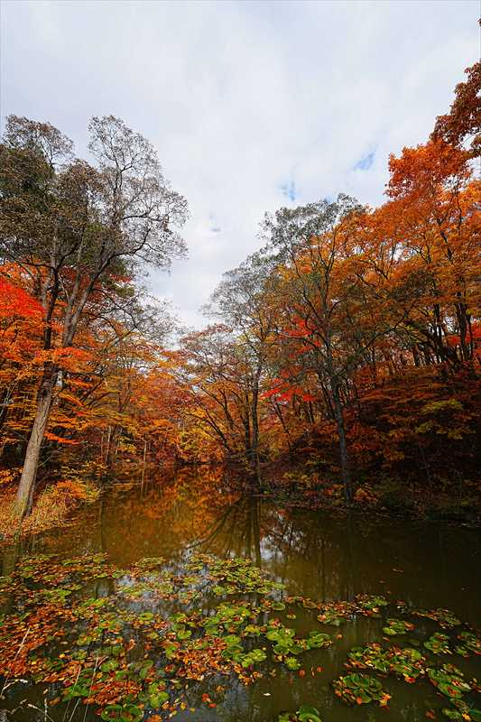 1089_大沼公園_北海道