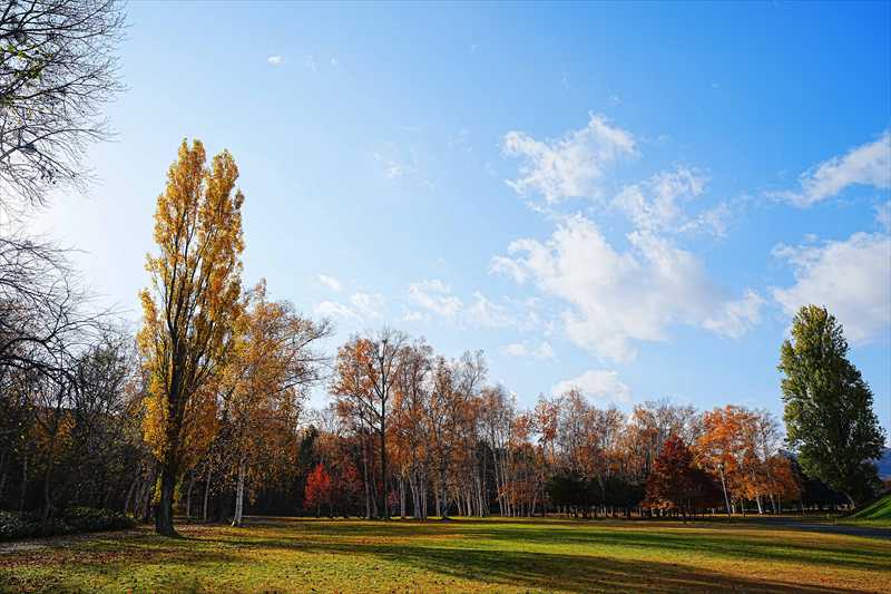 1112_札幌真駒内公園_北海道