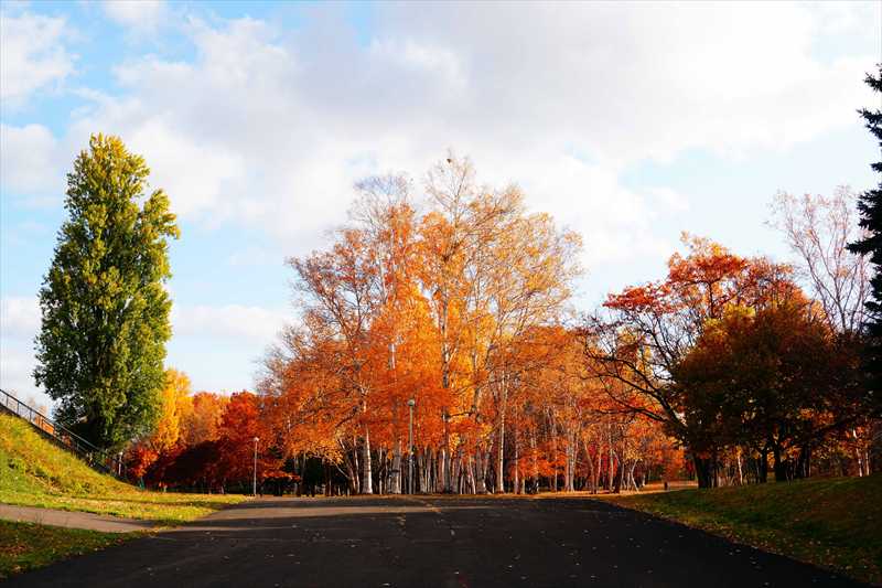 1114_札幌真駒内公園_北海道