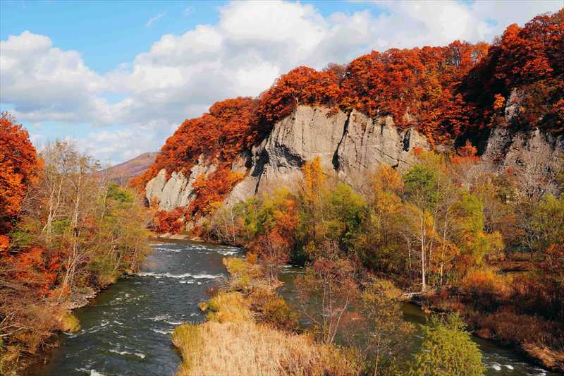1105_札幌藻南公園_北海道