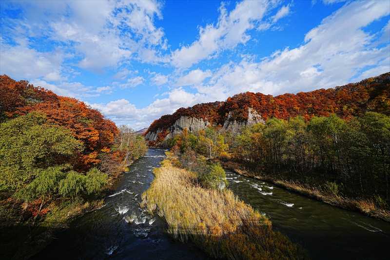 1106_札幌藻南公園_北海道