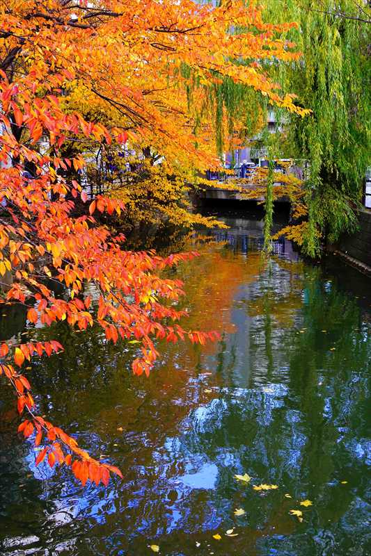 1128_札幌市内_北海道