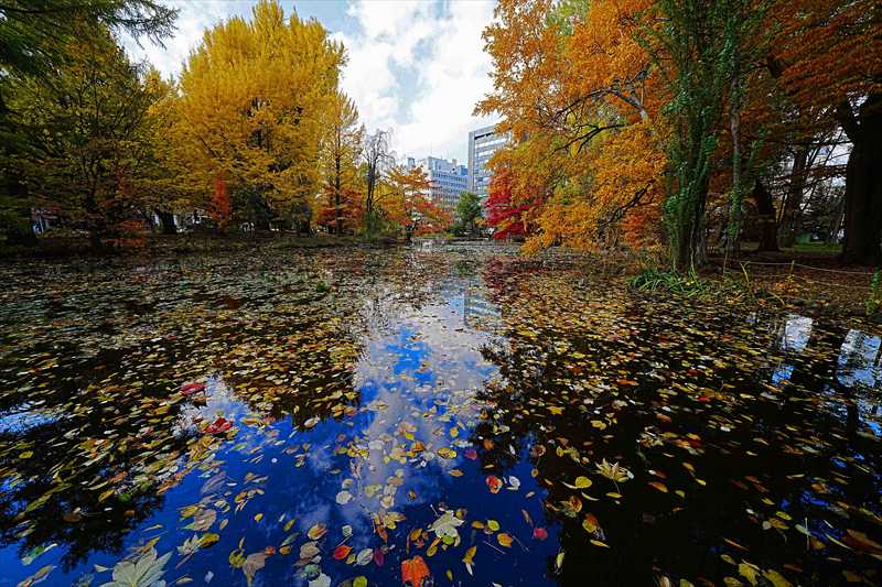 1124_札幌道庁赤れんが庁舎_北海道