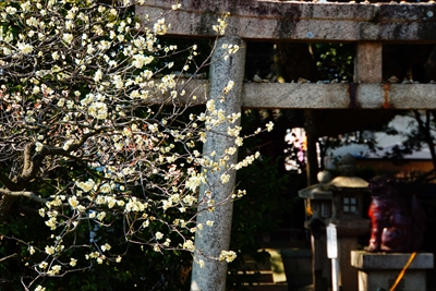 1070_道明寺天満宮）_大阪府