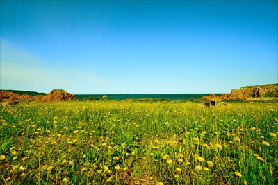 1053_行合崎_青森県