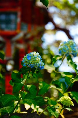1005_高山稲荷神社_青森県