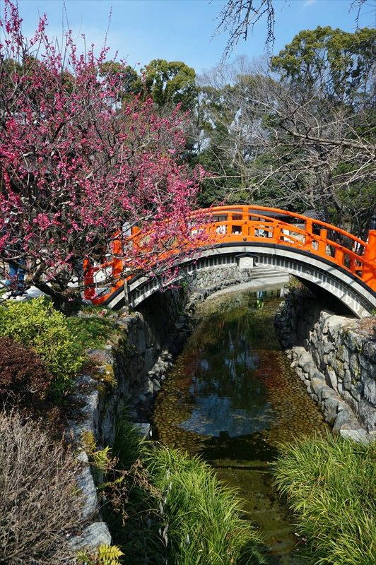 1008 洛北 賀茂御祖神社（下鴨神社）_京都府