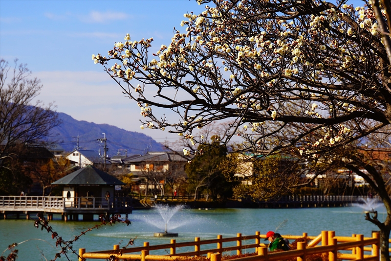 1227 洛西 長岡天満宮_京都府