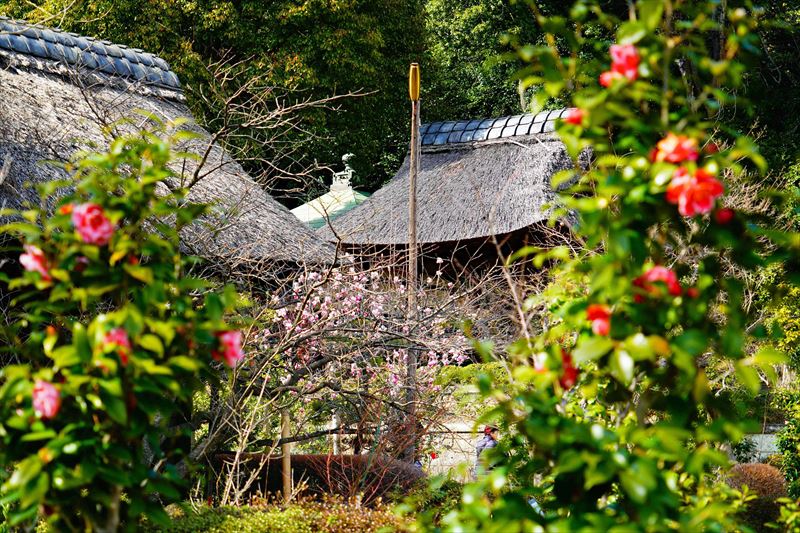 1003 西芳寺_神奈川県