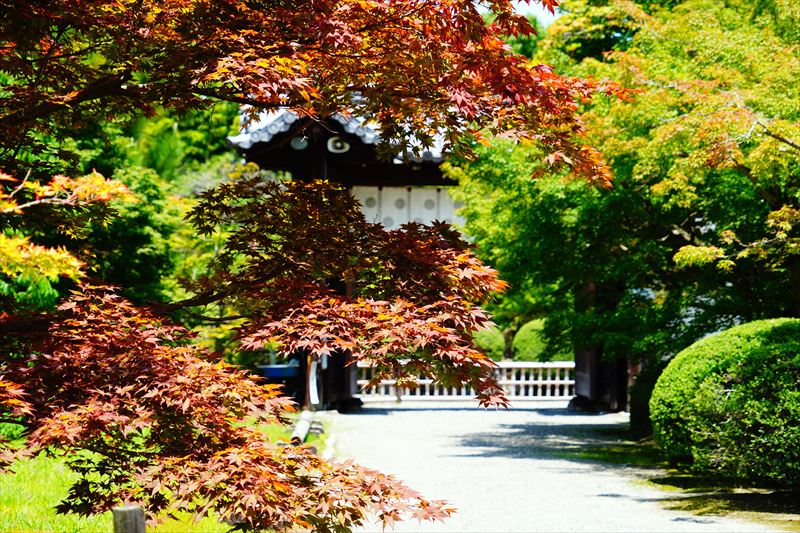 1030 洛南 勧修寺_京都府