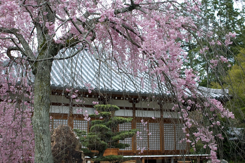 1030_洛西 印空寺_京都