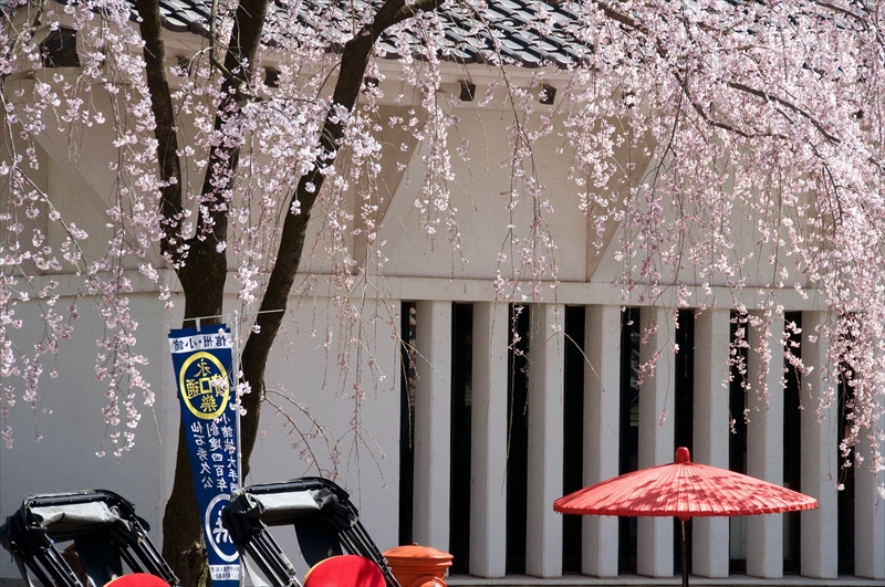 1037_小諸城址懐古園_長野