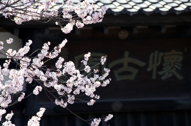 1038_小諸城址懐古園_長野