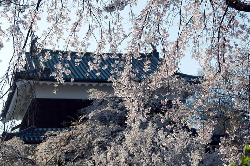 1089_上田城跡公園_長野