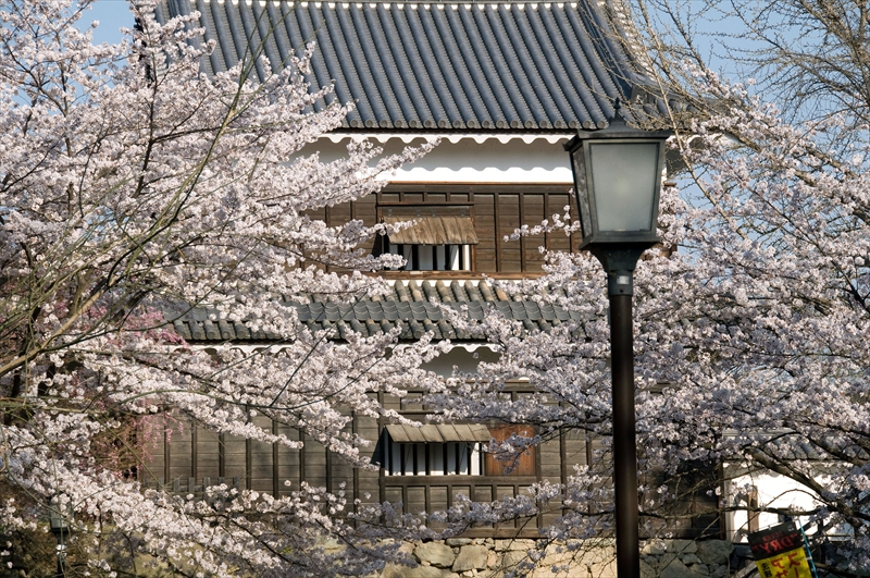 1095_上田城跡公園_長野