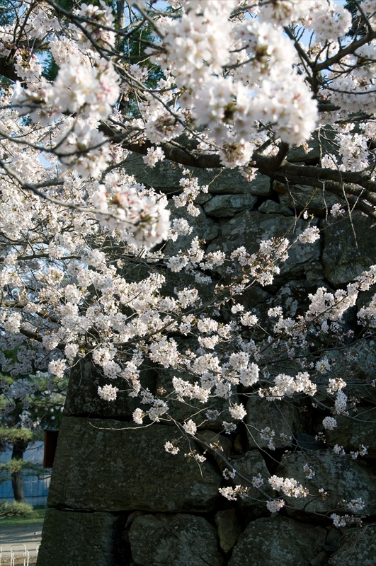 1106_上田城跡公園_長野