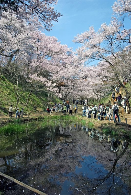 1014_高遠城址公園_長野