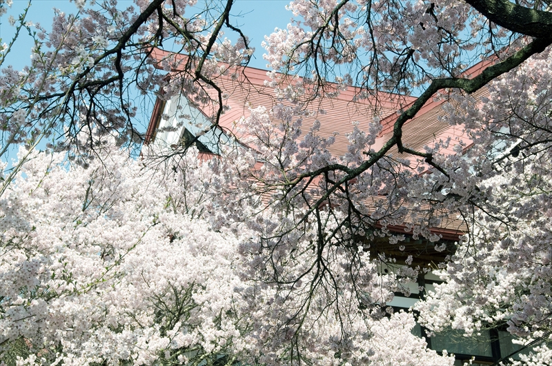 1023_高遠城址公園_長野
