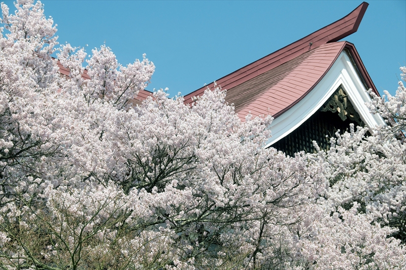 1024_高遠城址公園_長野