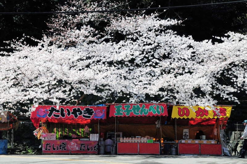 1018_和歌山城_和歌山