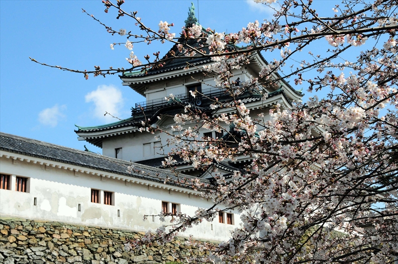 1020_和歌山城_和歌山