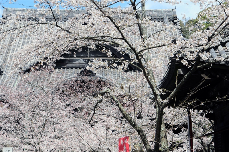 1006_紀三井寺_和歌山