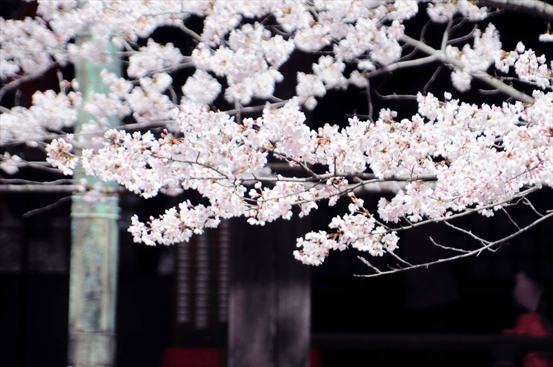 1008_紀三井寺_和歌山