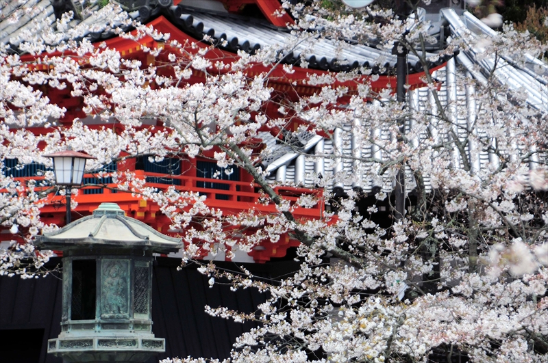 1009_紀三井寺_和歌山