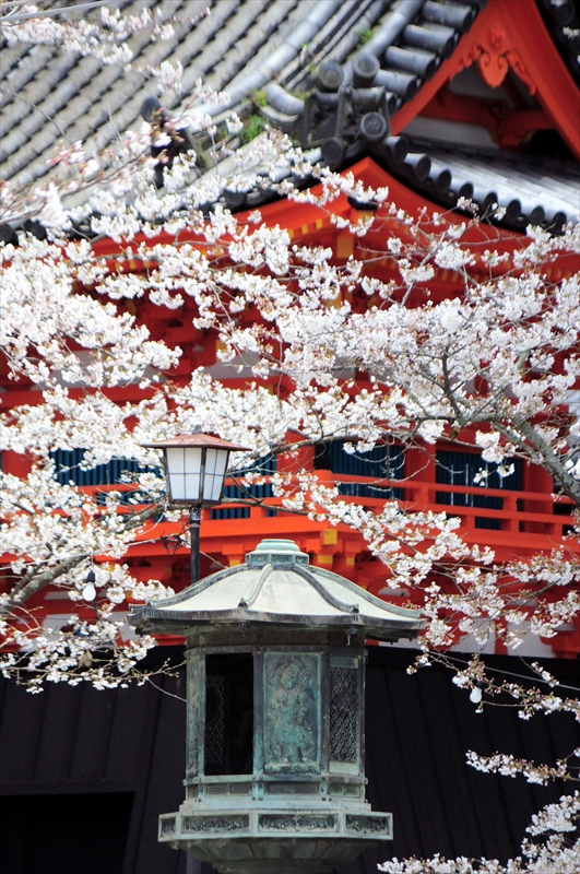 1010_紀三井寺_和歌山