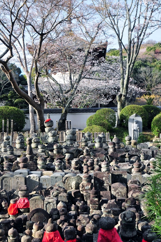 1036_根来寺_和歌山