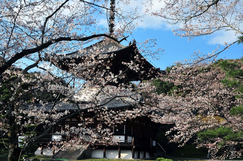 1037_根来寺_和歌山