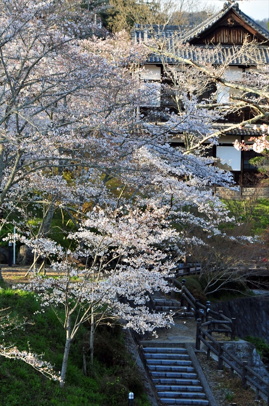 1042_根来寺_和歌山