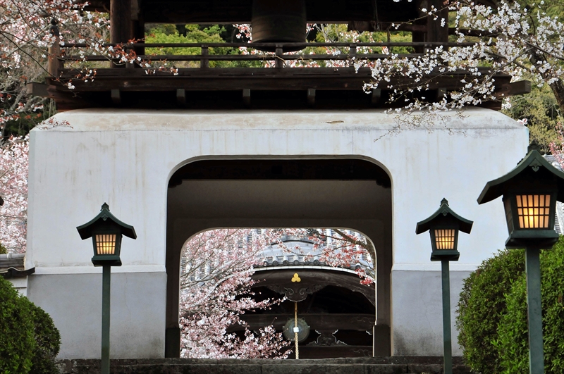 1044_根来寺_和歌山