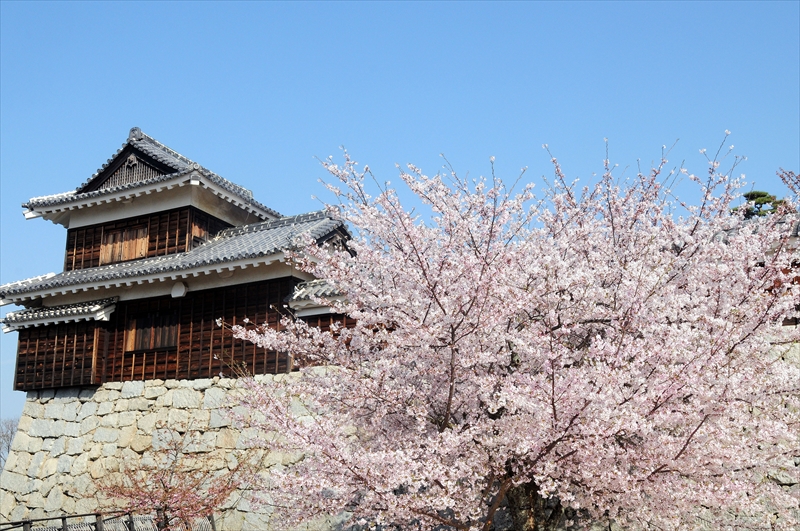 1004_松山城_愛媛