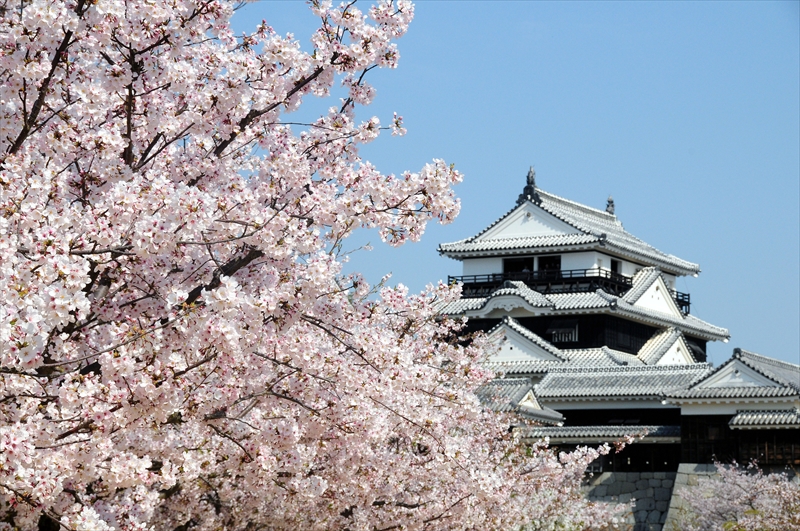 1023_松山城_愛媛