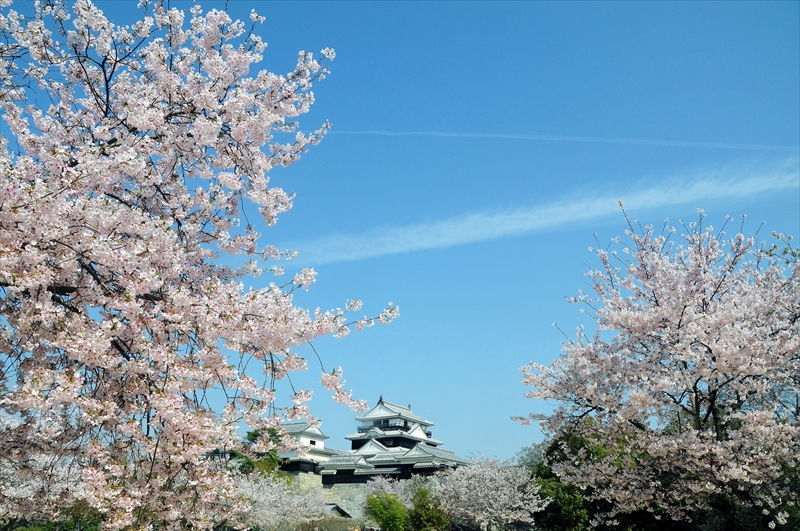 1034_松山城_愛媛