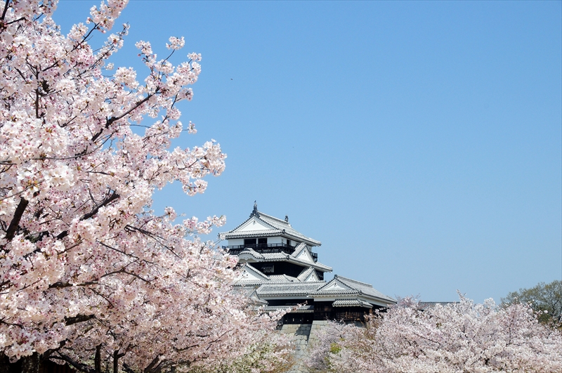 1054_松山城_愛媛