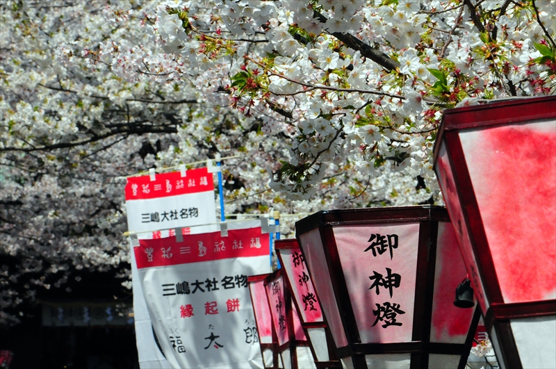 1067_三嶋大社_静岡