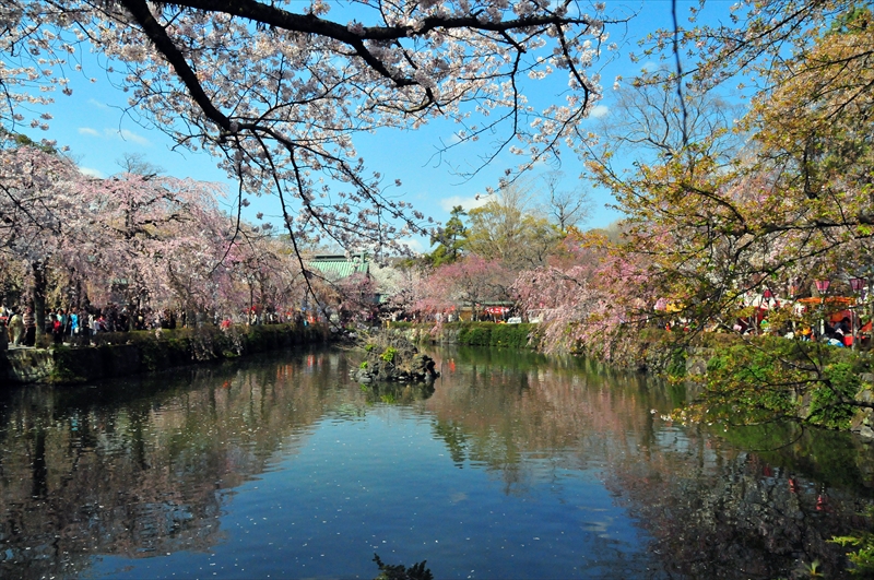 1074_三嶋大社_静岡