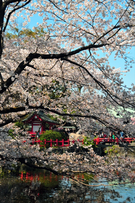 1083_三嶋大社_静岡