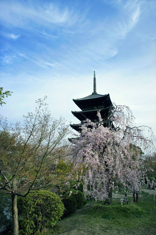 1165_洛中 東寺_京都