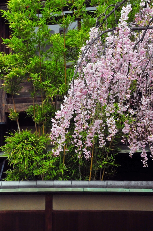 1026_洛東 南禅寺_京都