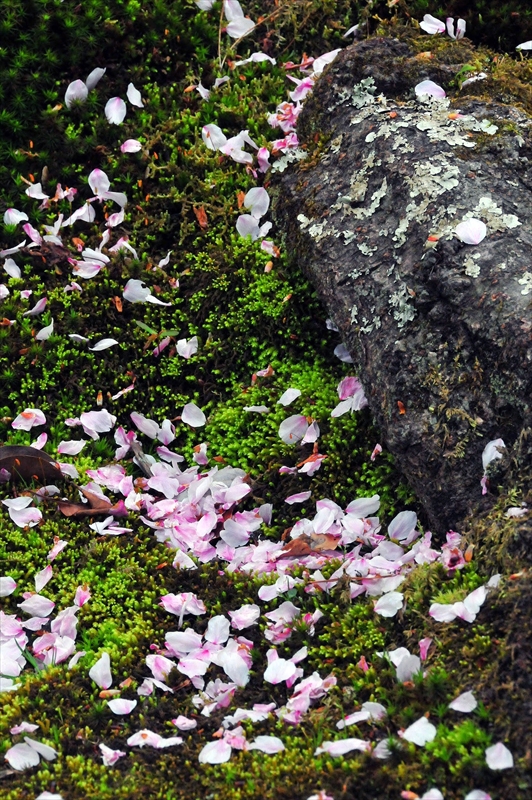 1035_洛東 南禅寺_京都