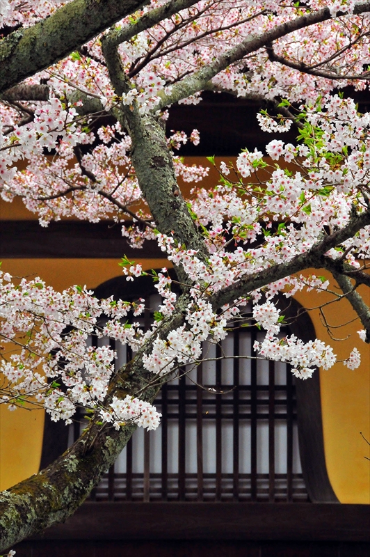 1036_洛東 南禅寺_京都