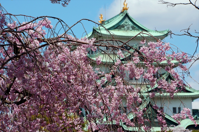 1007_名古屋城_愛知